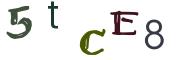 Image CAPTCHA