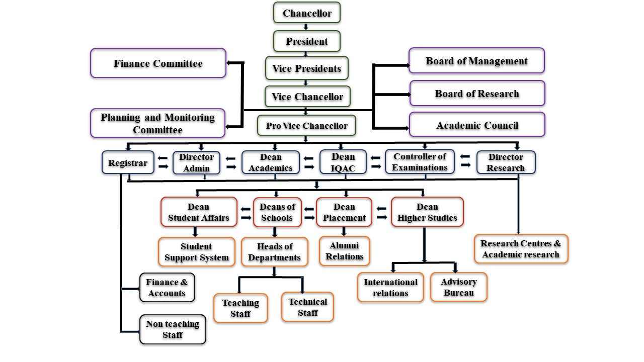 Organisation Structure_0