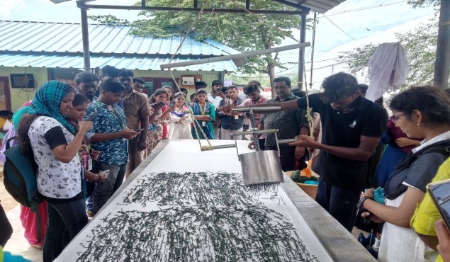 SPIRULINA CULTIVATION