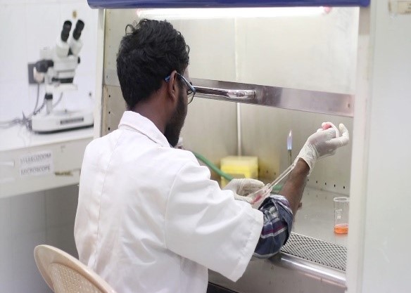 Animal Tissue culture Lab